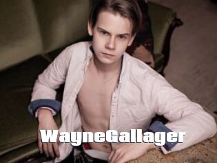 WayneGallager