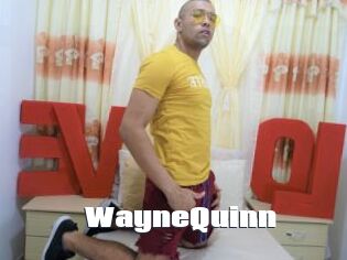 WayneQuinn