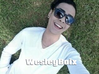 Wesley_Boix