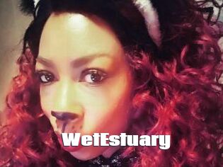 WetEstuary