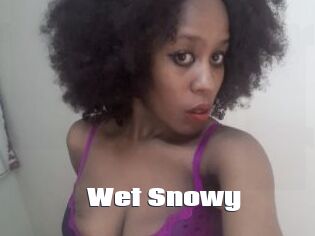 Wet_Snowy