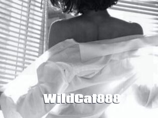 WildCat888