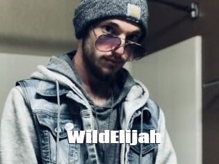 WildElijah