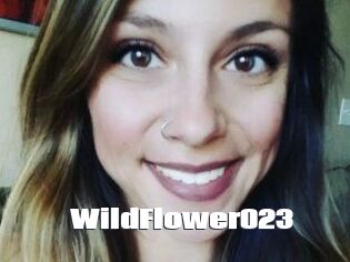 WildFlower023