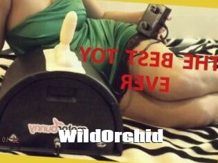 WildOrchid_
