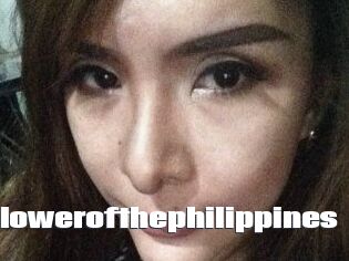 Wildflowerofthephilippines