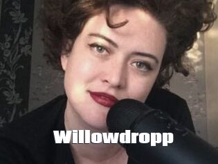 Willowdropp