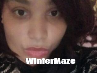 Winter_Maze