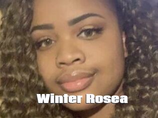 Winter_Rosea