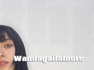 Wandagallamore