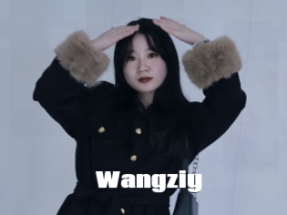Wangziy
