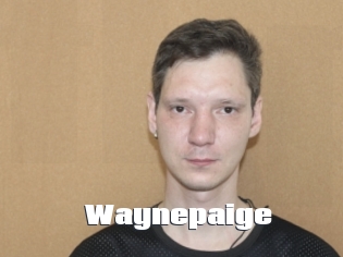 Waynepaige