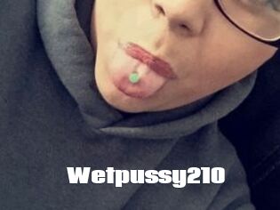 Wetpussy210
