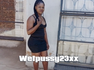 Wetpussy23xx
