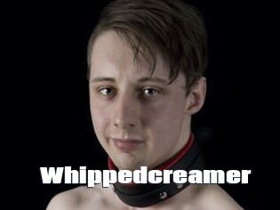 Whippedcreamer