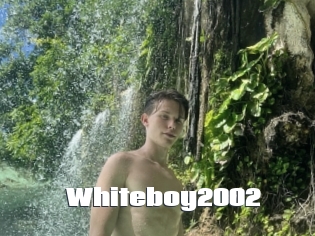 whiteboy2002 The hot porn