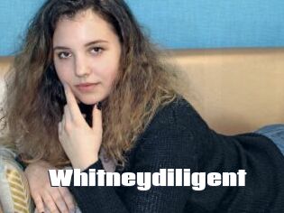 Whitneydiligent