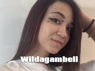 Wildagambell