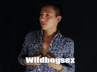 Wildboysex