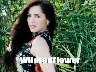 Wildredflower