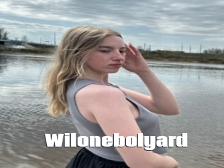 Wilonebolyard