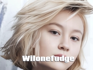 Wilonefudge