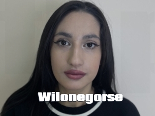 Wilonegorse