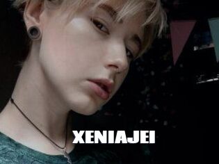 XENIA_JEI