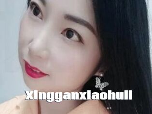 Xingganxiaohuli