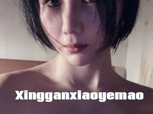 Xingganxiaoyemao