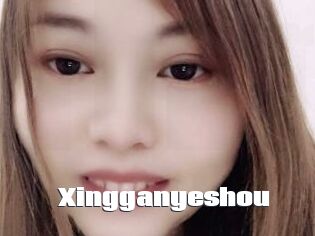 Xingganyeshou