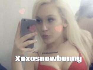Xoxosnowbunny