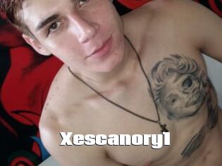 Xescanory1