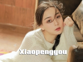 Xiaopengyou