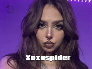 Xoxospider