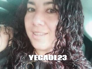 YECAOL23