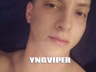 YNGVIPER
