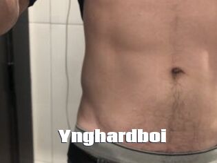 Ynghardboi