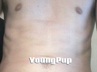 YoungPup