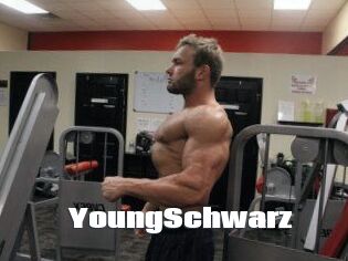 YoungSchwarz The hot porn