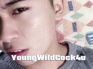 YoungWildCock4u