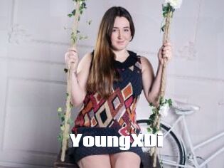 YoungXDi