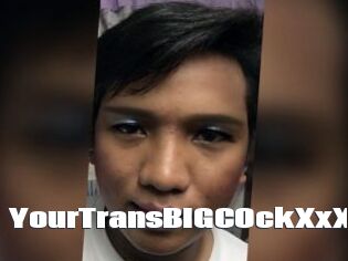 YourTransBIGCOckXxX