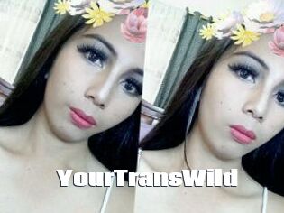 YourTransWild