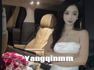 Yangqinmm