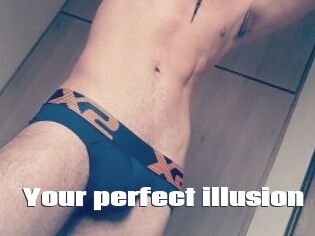 Your_perfect_illusion