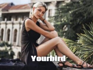 Yourbird