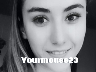Yourmouse23