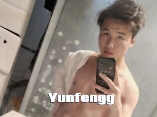 Yunfengg
