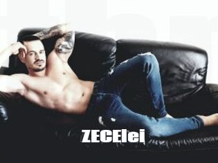 ZECElei